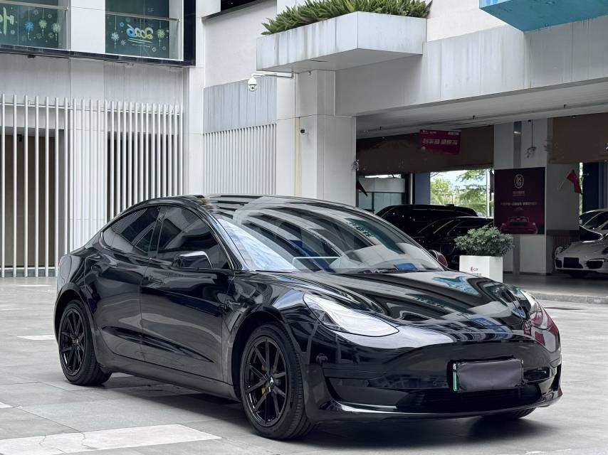 Tesla Model 3 2021 #3 Tesla Model 3 2021 car image #3