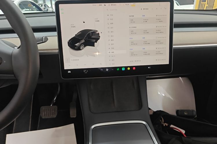 Tesla Model Y 2022 car image #13
