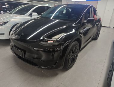 Tesla Model Y 2022 car image 
