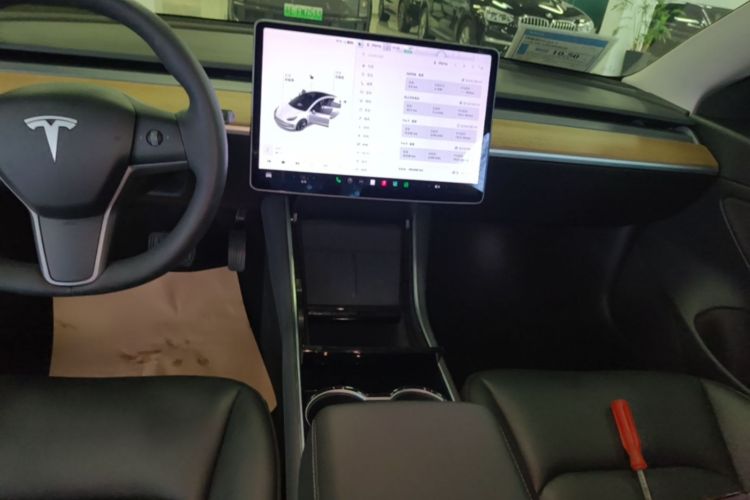 Tesla Model 3 2020 #13 Tesla Model 3 2020 car image #13