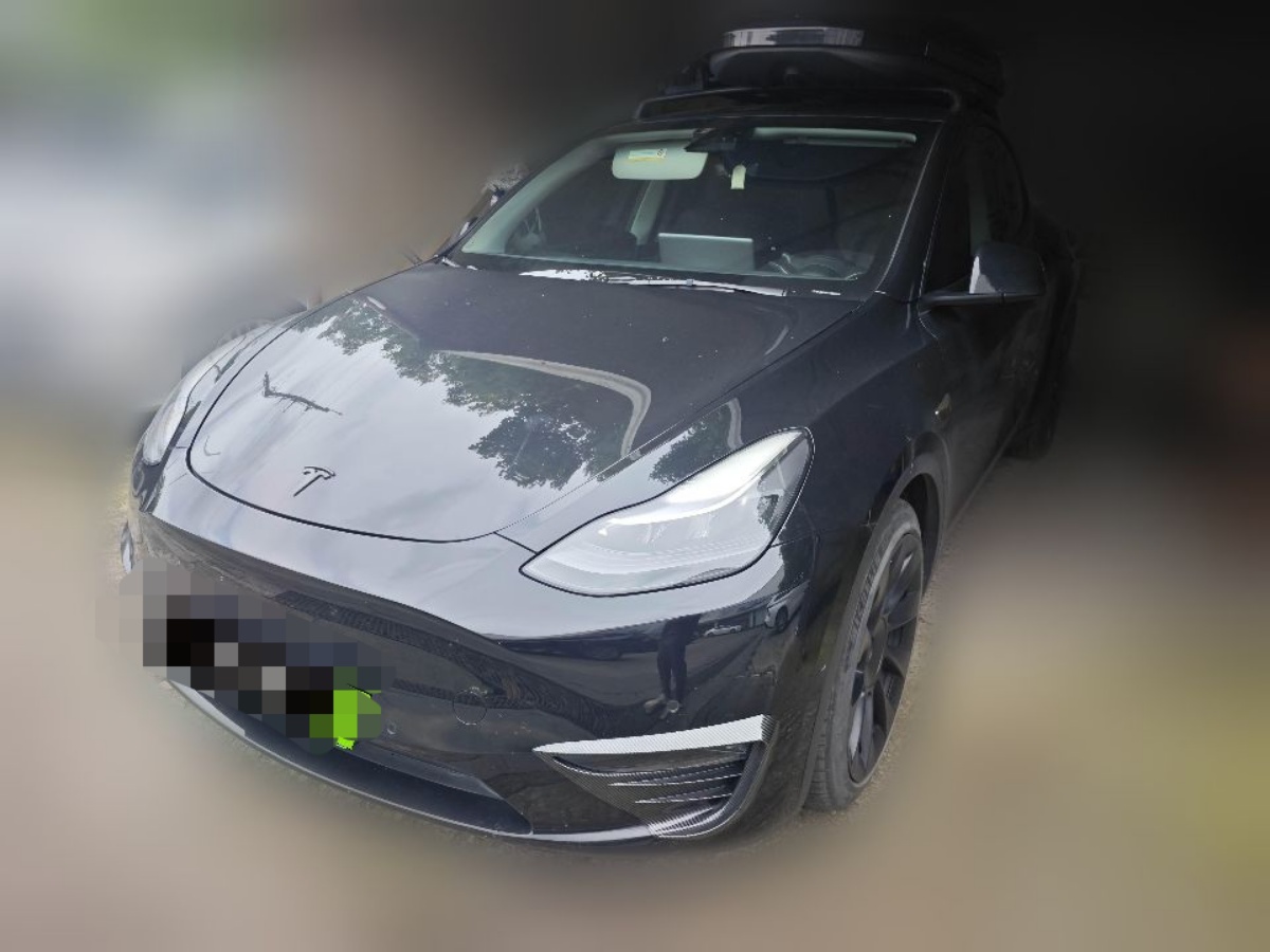 Tesla Model Y 2021 Tesla Model Y 2021 car image