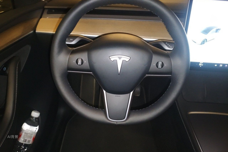 Tesla Model Y 2021 #12 Tesla Model Y 2021 car image #12