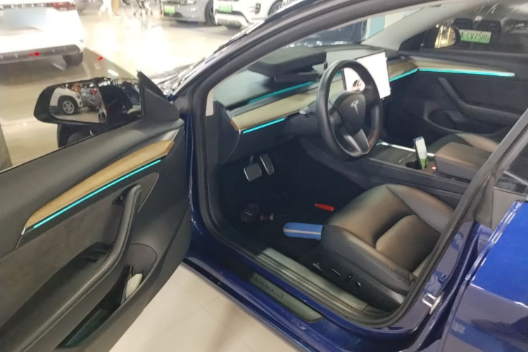 Tesla Model 3 2021 car image #16