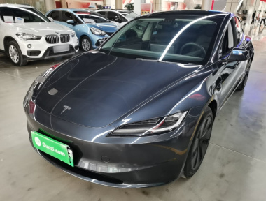 Tesla Model 3 2024 car image 