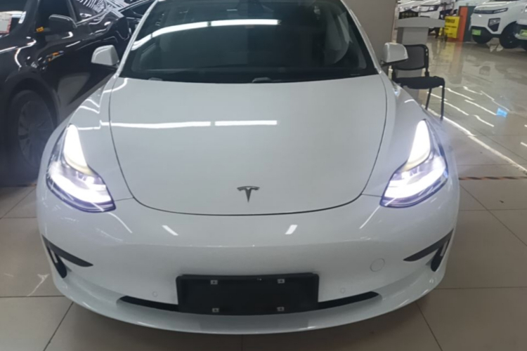 Tesla Model 3 2021 #3 Tesla Model 3 2021 car image #3