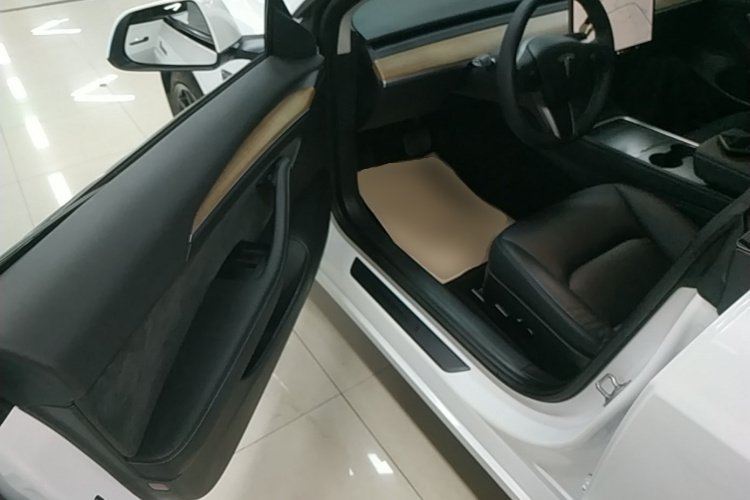 Tesla Model 3 2021 car image #12