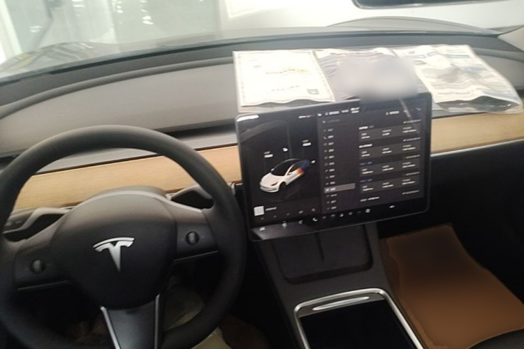 Tesla Model 3 2022 car image #10