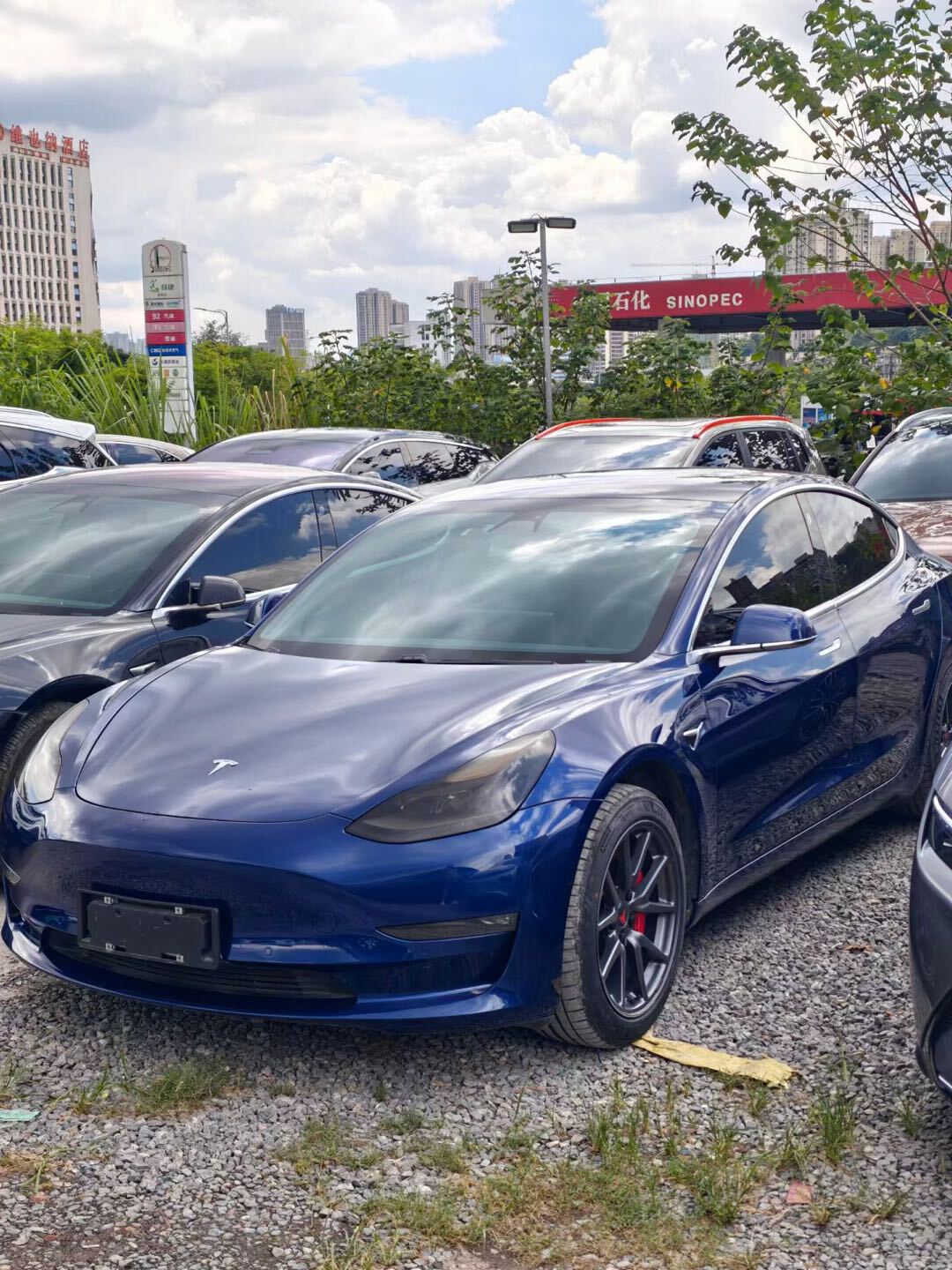 Tesla Model 3 2021 Tesla Model 3 2021 car image