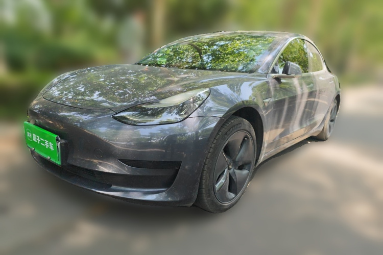 Tesla Model 3 2020 car image #2