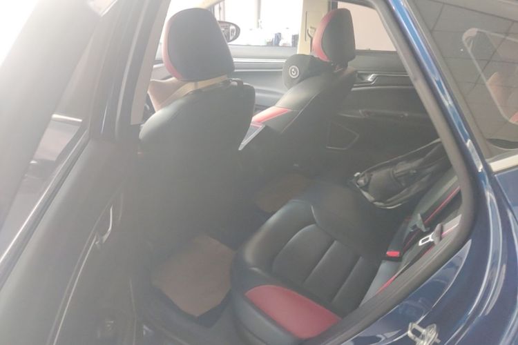 GEELY Emgrand GS 2020 imagem de carro #17