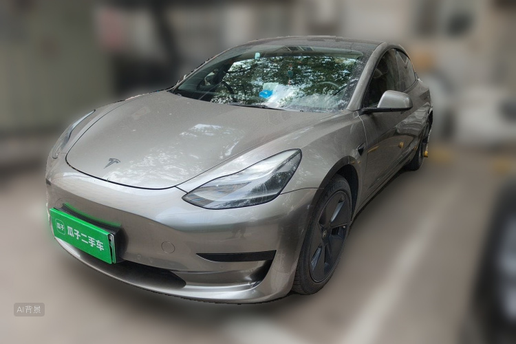 Tesla Model 3 2021 #2 Tesla Model 3 2021 car image #2