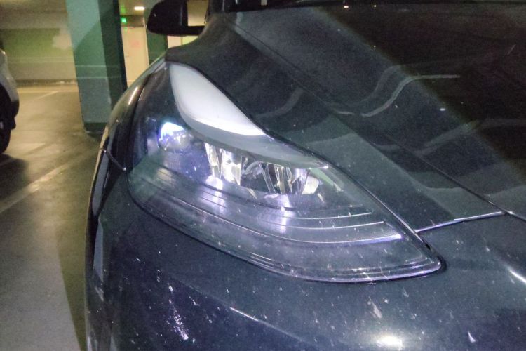 Tesla Model Y 2023 car image #8