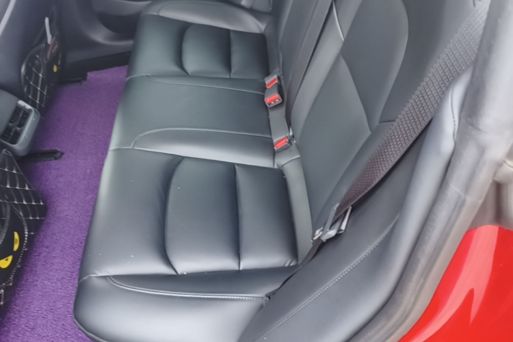 Tesla Model 3 2020 car image #17