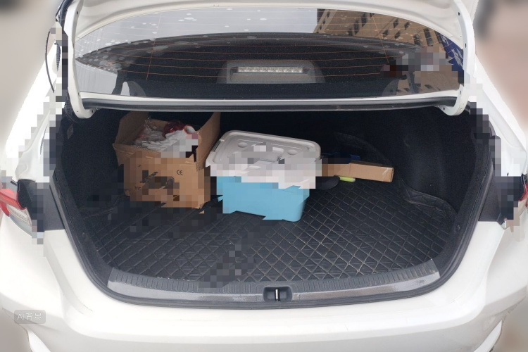Toyota Corolla 2020 car image #21
