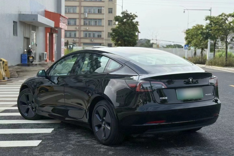 Tesla Model 3 2023 #6 Tesla Model 3 2023 car image #6