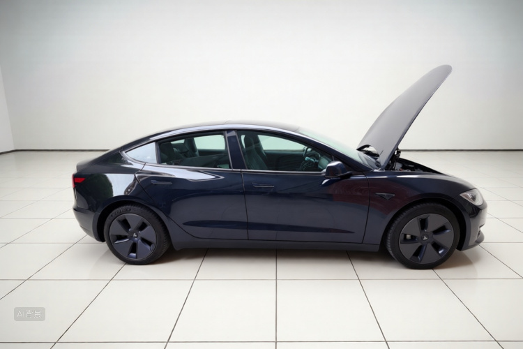 Tesla Model 3 2022 car image #4