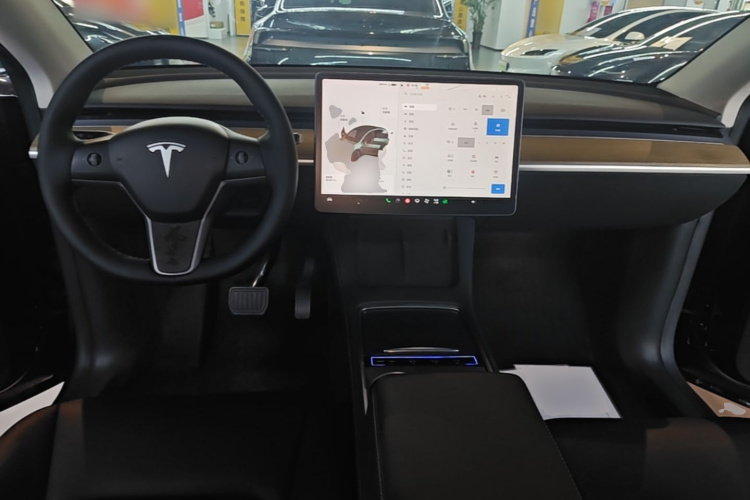 Tesla Model Y 2022 #10 Tesla Model Y 2022 car image #10