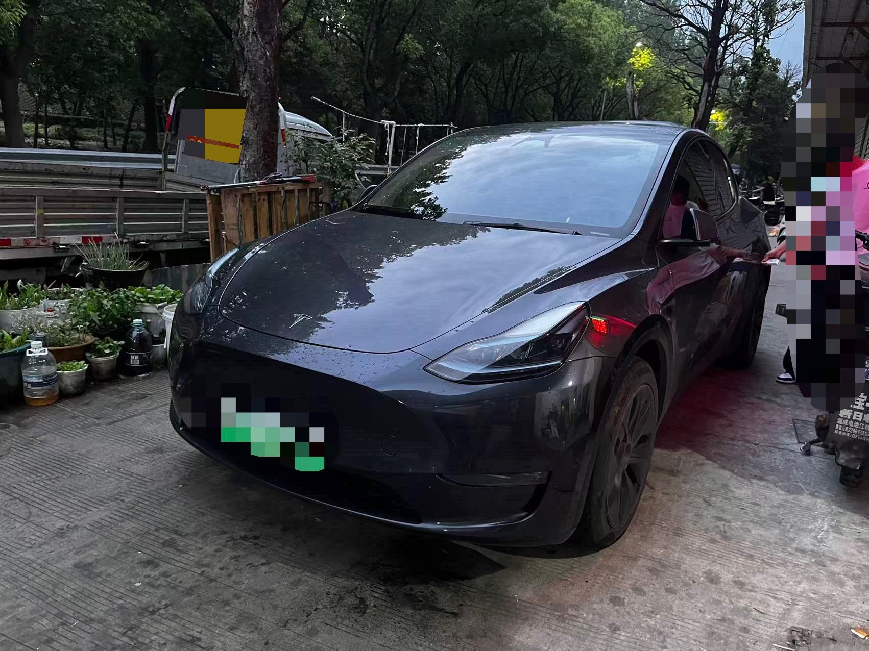 Tesla Model Y 2024 car image 