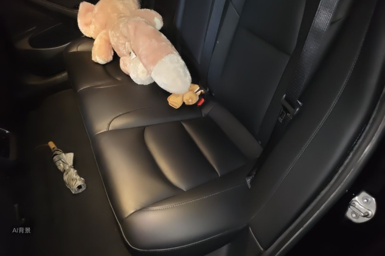 Tesla Model 3 2020 immagine di auto #19