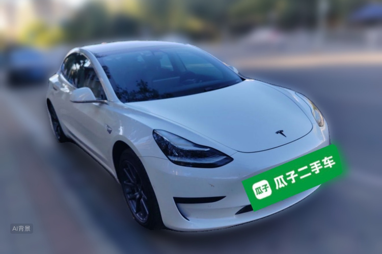 Tesla Model 3 2020 car image #4