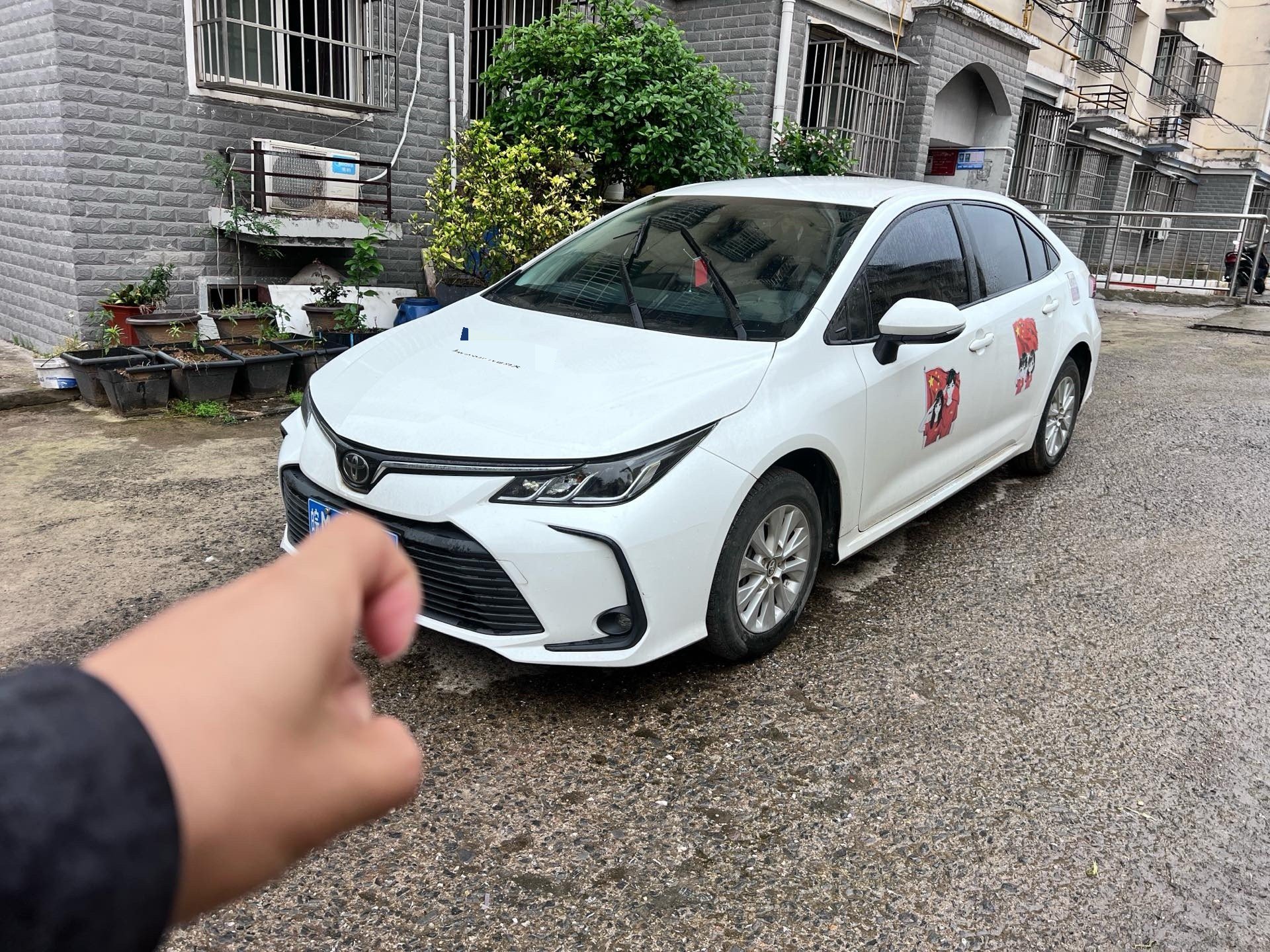 Toyota Corolla 2021 car image 