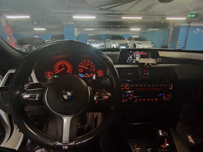 BMW 3 Series GT 2017 car image #4