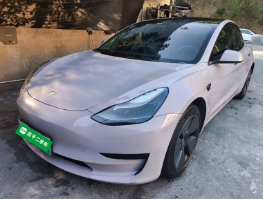 Tesla Model 3 2021 car image 