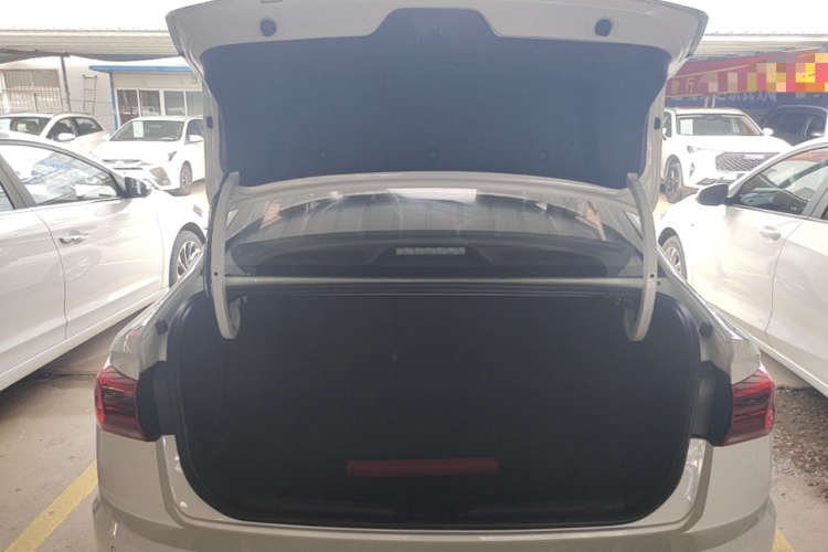 Volkswagen Bora 2021 car image #19