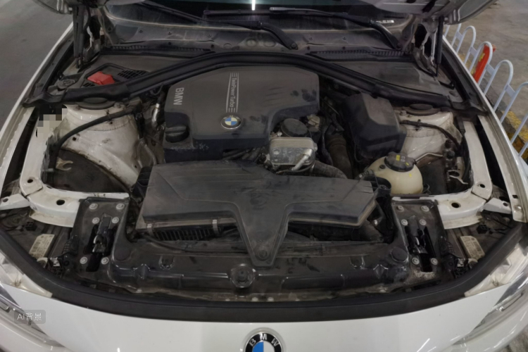 BMW 3 Series 2016 car image #22