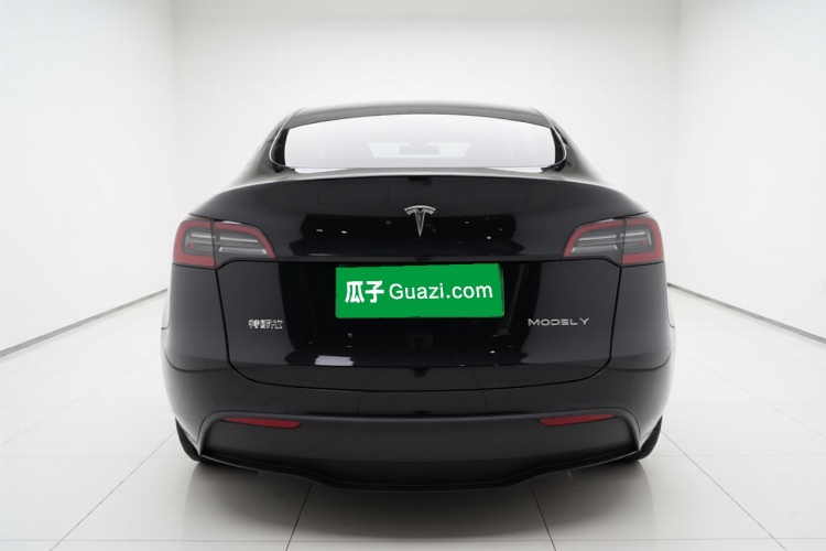 Tesla Model Y 2021 #6 Tesla Model Y 2021 car image #6