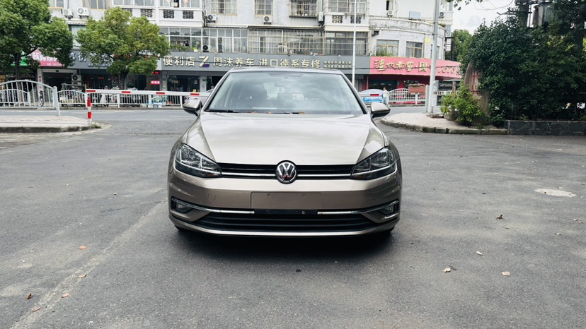 Volkswagen Golf 2019 #2 Volkswagen Golf 2019 car image #2