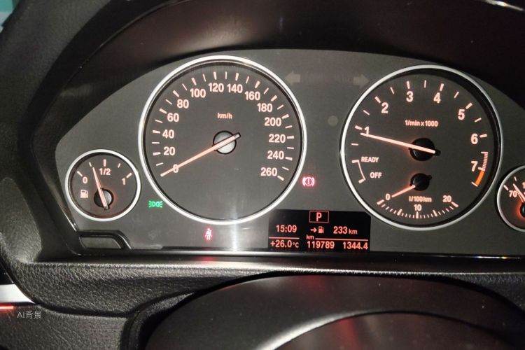 BMW 3 Series 2017 car image #14