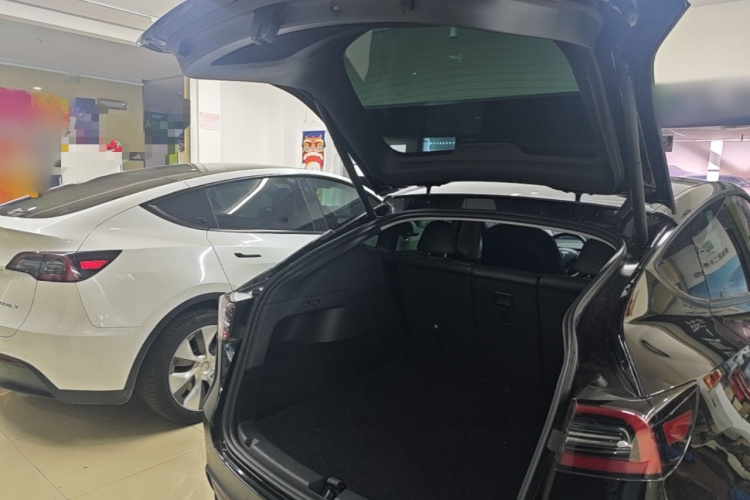 Tesla Model Y 2023 #19 Tesla Model Y 2023 car image #19