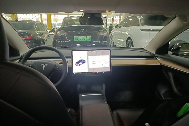 Tesla Model 3 2021 #11 Tesla Model 3 2021 immagine di auto #11