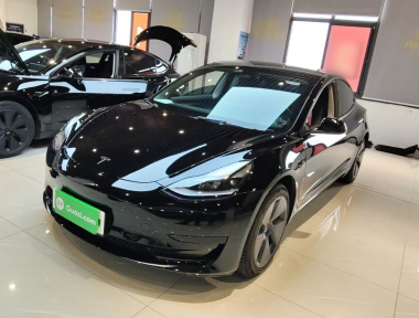 Tesla Model 3 2022 car image 