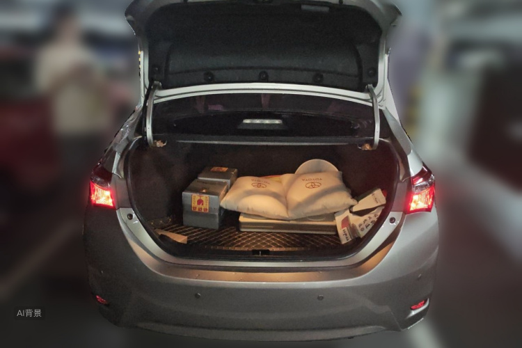 Toyota Corolla 2019 #21 Toyota Corolla 2019 car image #21