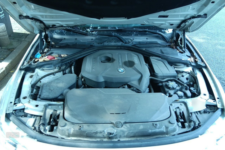 BMW 3 Series 2017 #22 BMW 3 Series 2017 car image #22