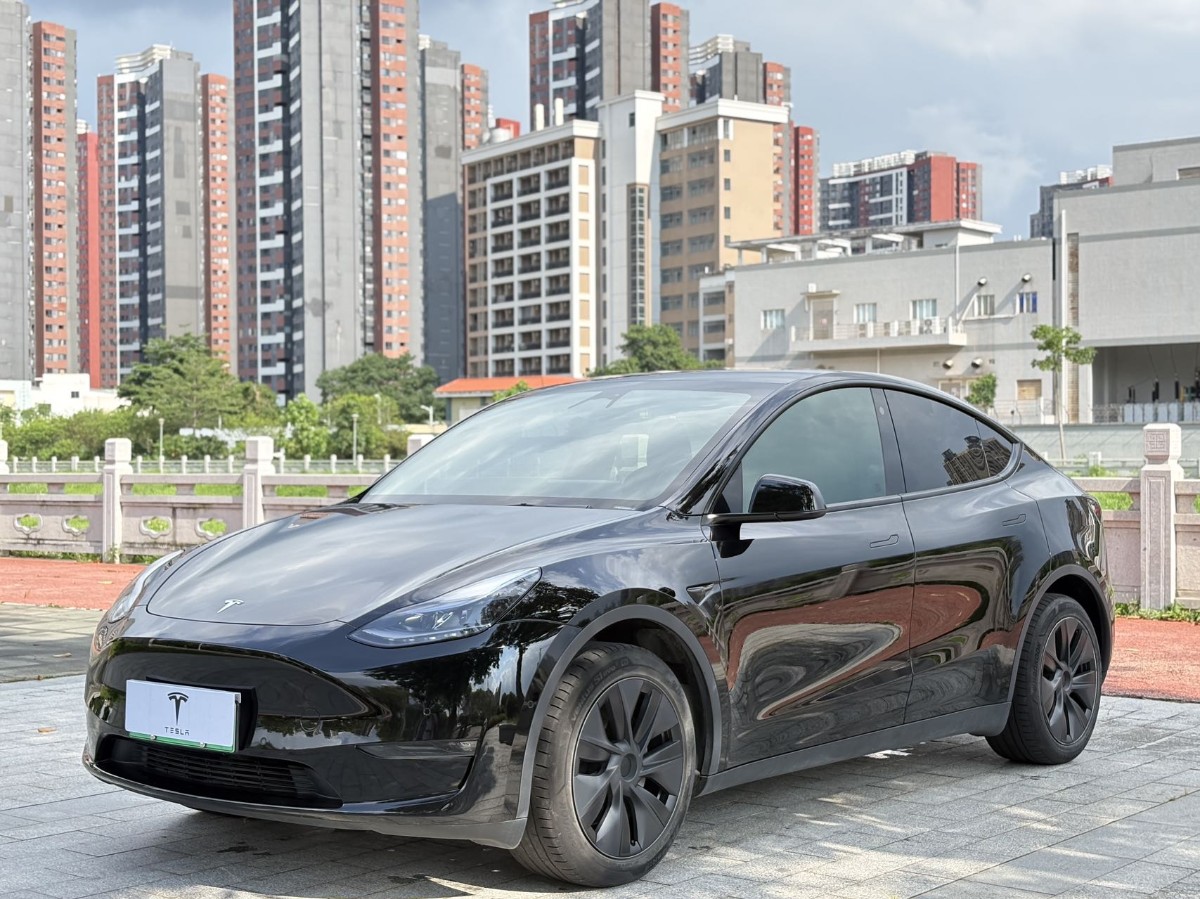 Tesla Model Y 2024 Tesla Model Y 2024 car image