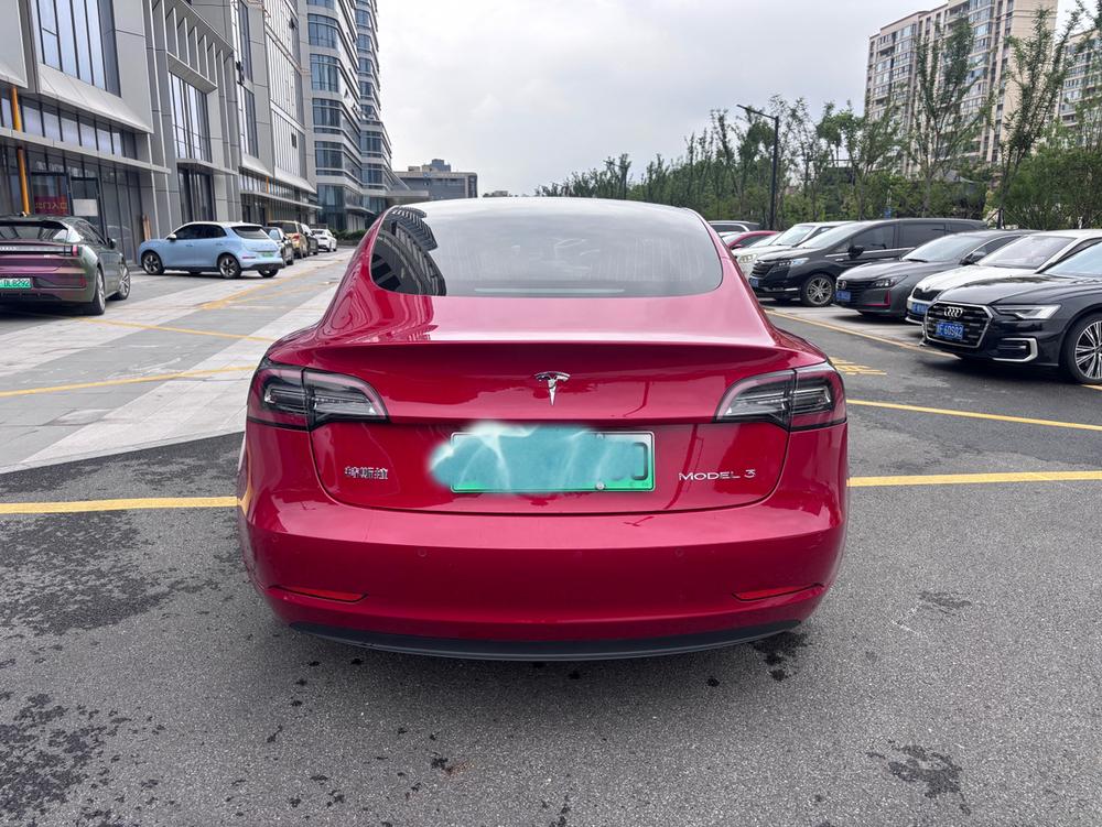 Tesla Model 3 2020 car image #4