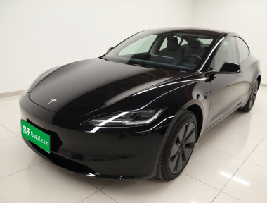 Tesla Model 3 2024 immagine di auto 
