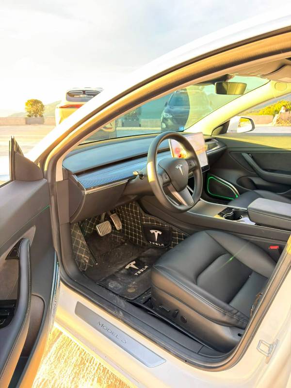 Tesla Model 3 2020 #5 Tesla Model 3 2020 car image #5