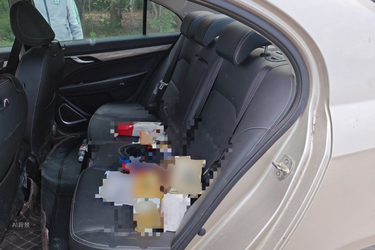 GEELY Emgrand 2019 #19 GEELY Emgrand 2019 صورة سيارة #19