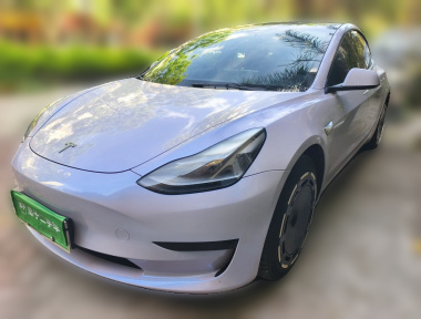 Tesla Model 3 2021 Tesla Model 3 2021 immagine di auto