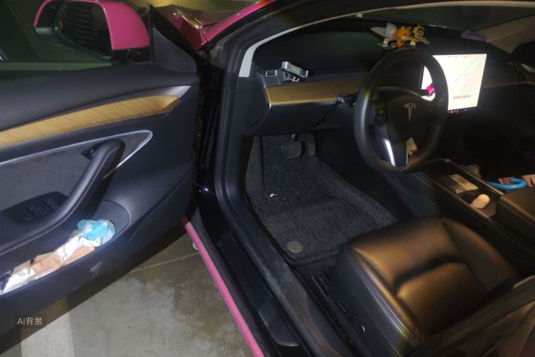 Tesla Model 3 2021 #18 Tesla Model 3 2021 car image #18