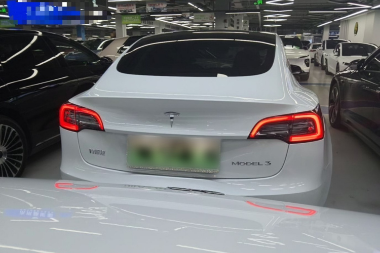 Tesla Model 3 2023 car image #6