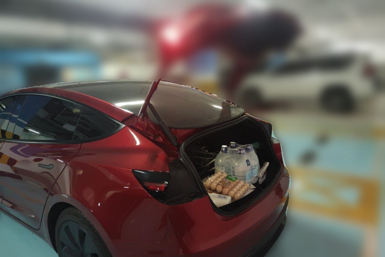 Tesla Model 3 2025 #17 Tesla Model 3 2025 car image #17