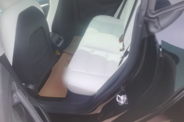 Tesla Model 3 2021 #17 Tesla Model 3 2021 car image #17
