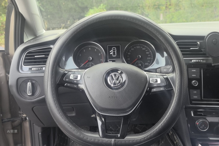 Volkswagen Golf 2019 car image #12