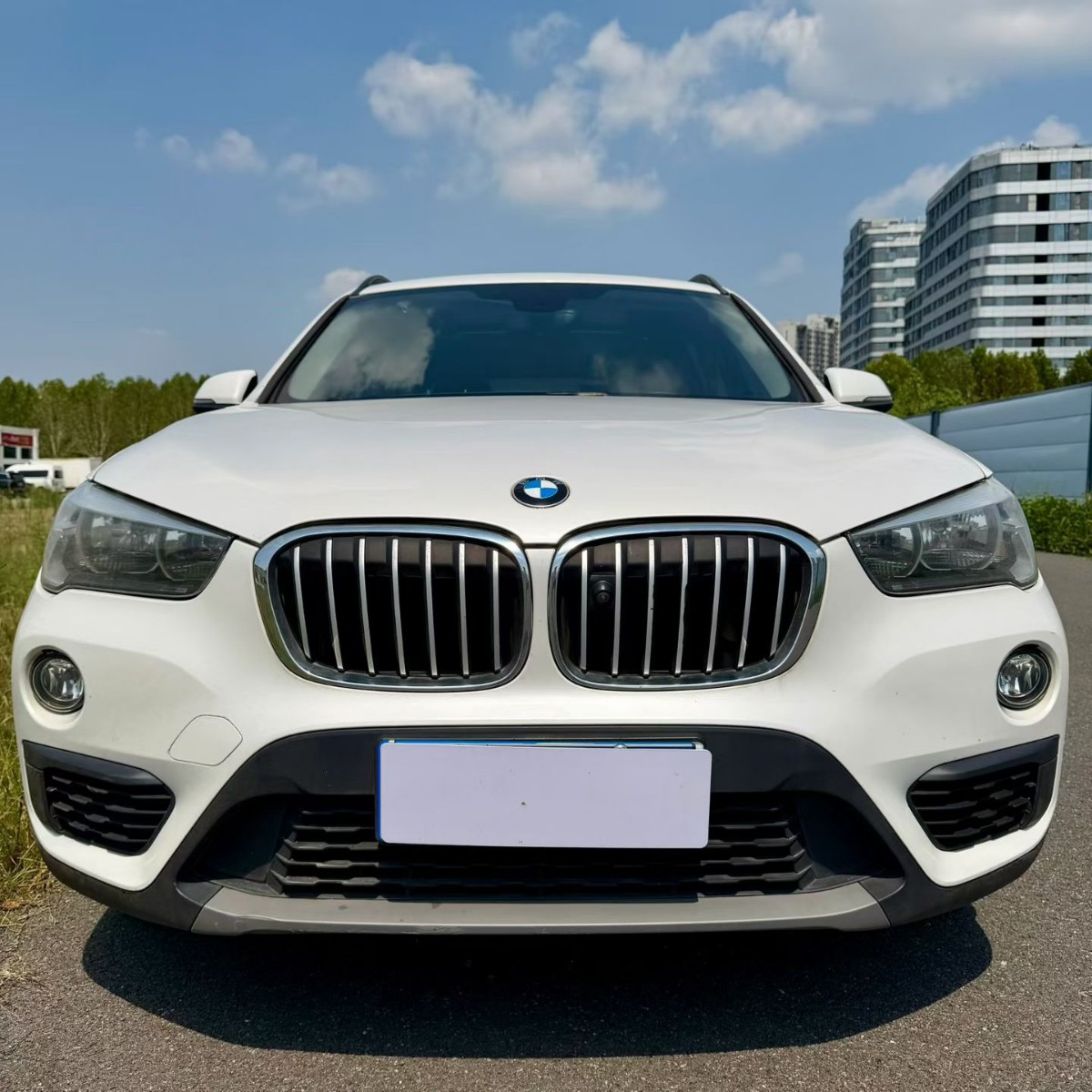BMW X1 2017 car image #2