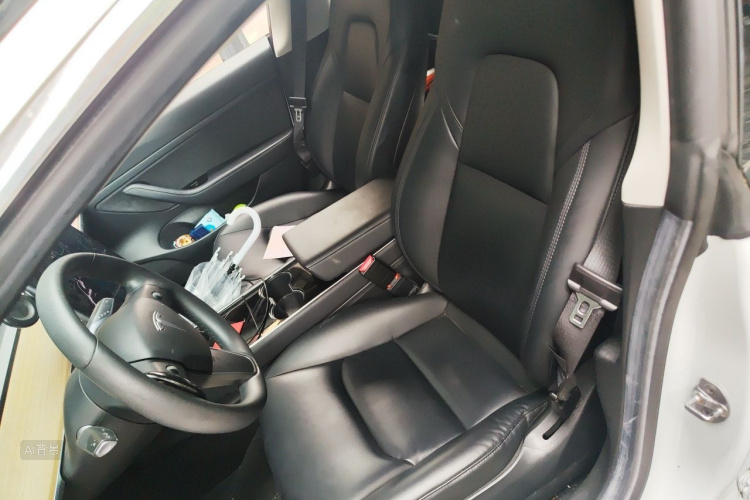 Tesla Model 3 2020 car image #17